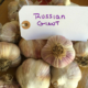 Russian Giant Garlic