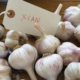 XIAN GARLIC