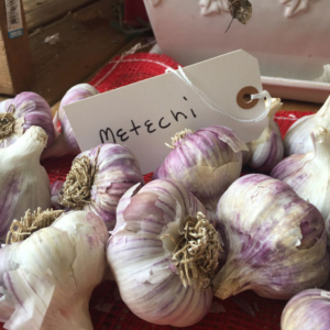 METECHI GARLIC